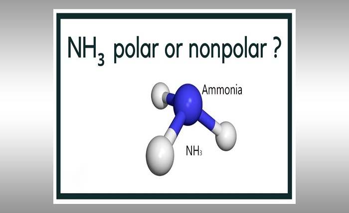Is NH3 Polar or Nonpolar